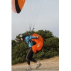 Gii 4 Alpha Sky Paragliders