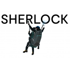 Sherlock (тандемная пилотская)